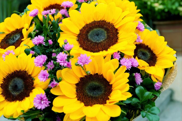 Example Flower 1