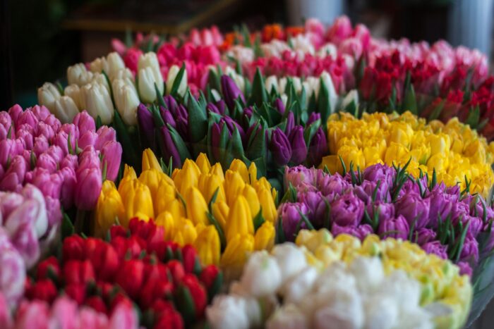Example Flower 3