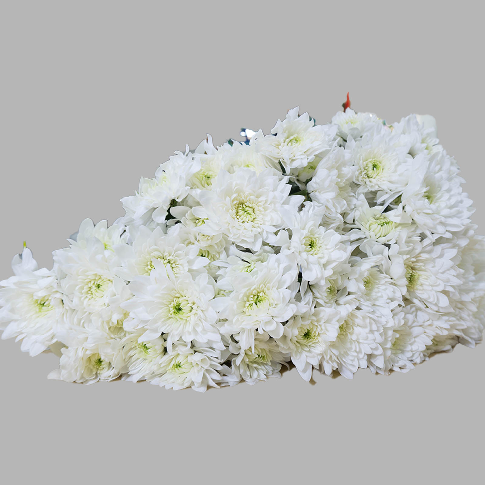 Chrysanthemum Bunch - Image 2
