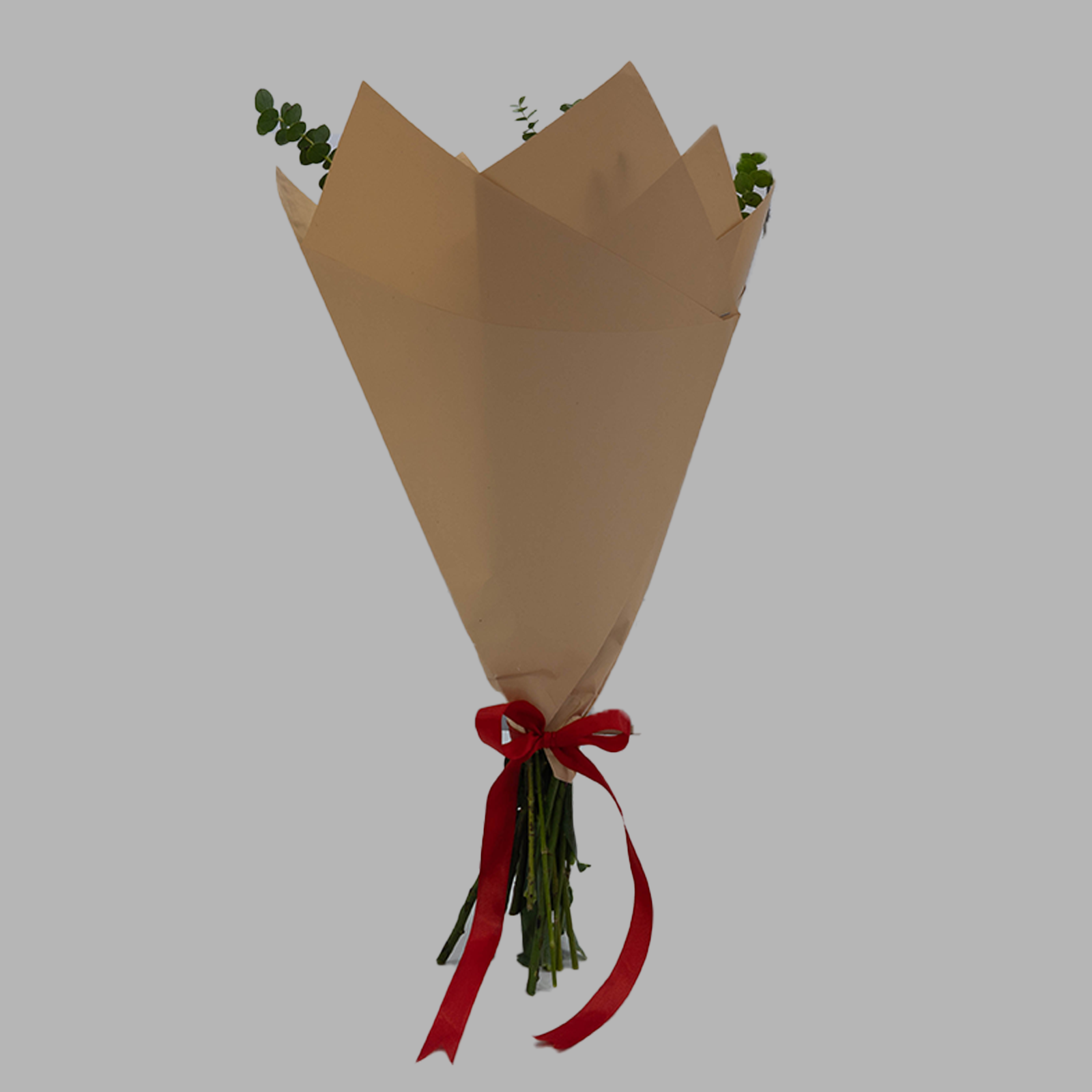 Soft Spoken - Image 4